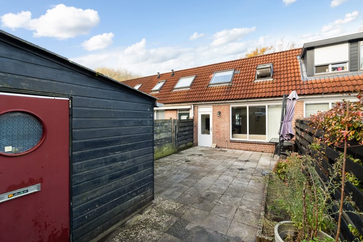 Photo 28 of Mandenvlechter 19