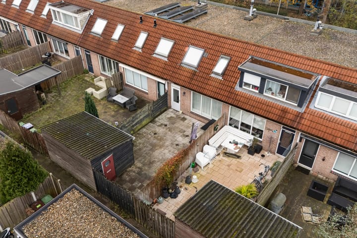 Photo 30 of Mandenvlechter 19