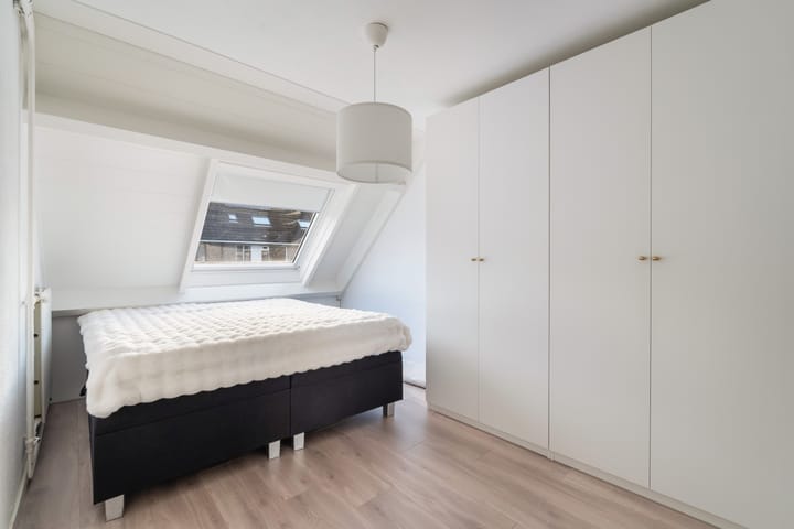 Photo 34 of Mandenvlechter 19