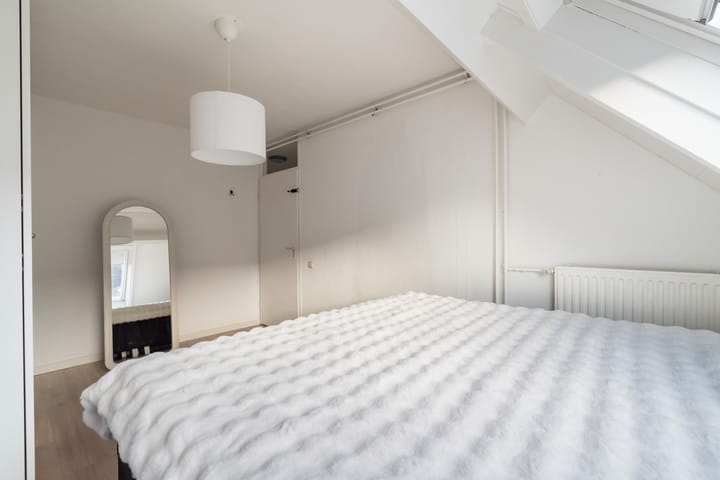 Photo 35 of Mandenvlechter 19