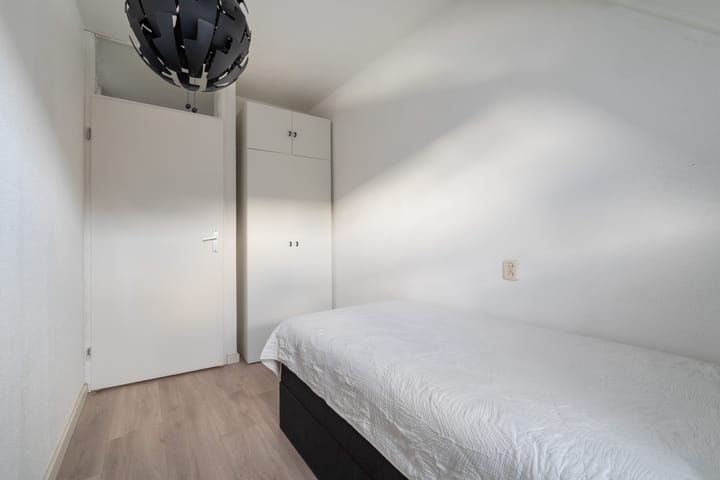 Photo 37 of Mandenvlechter 19