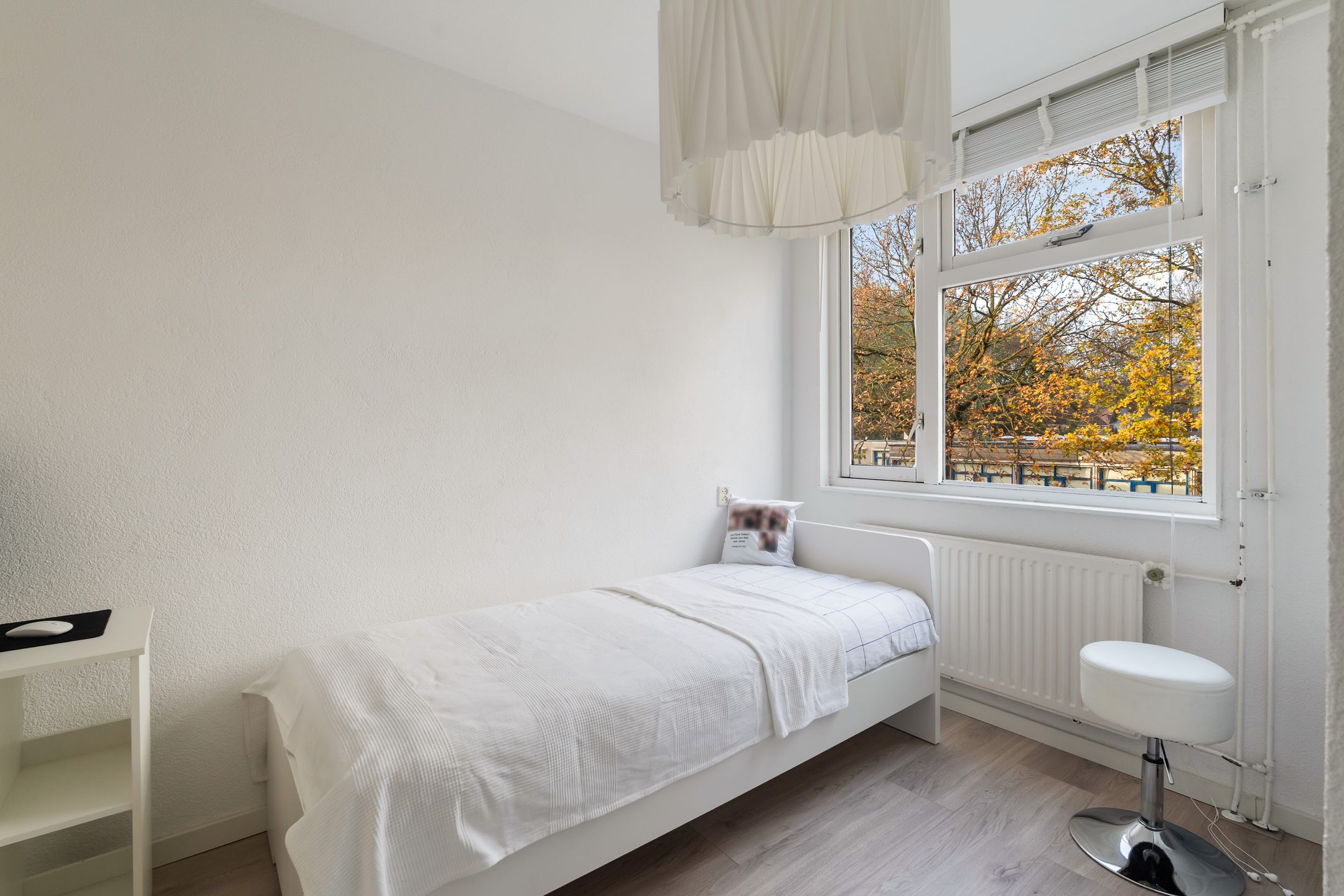 Foto 39 van Mandenvlechter 19