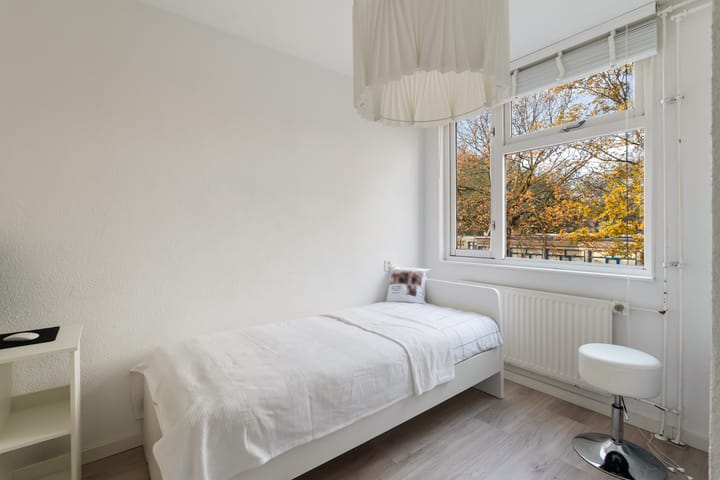 Photo 39 of Mandenvlechter 19