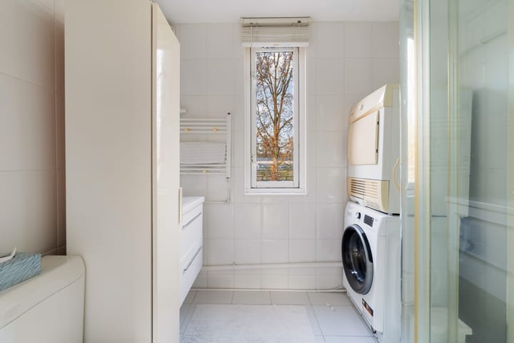 Photo 42 of Mandenvlechter 19