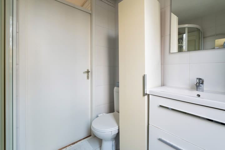 Photo 43 of Mandenvlechter 19