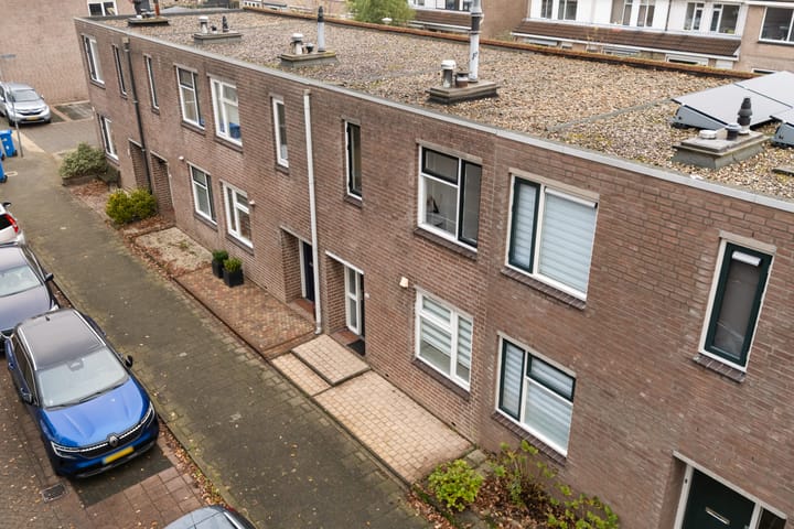 Photo 45 of Mandenvlechter 19