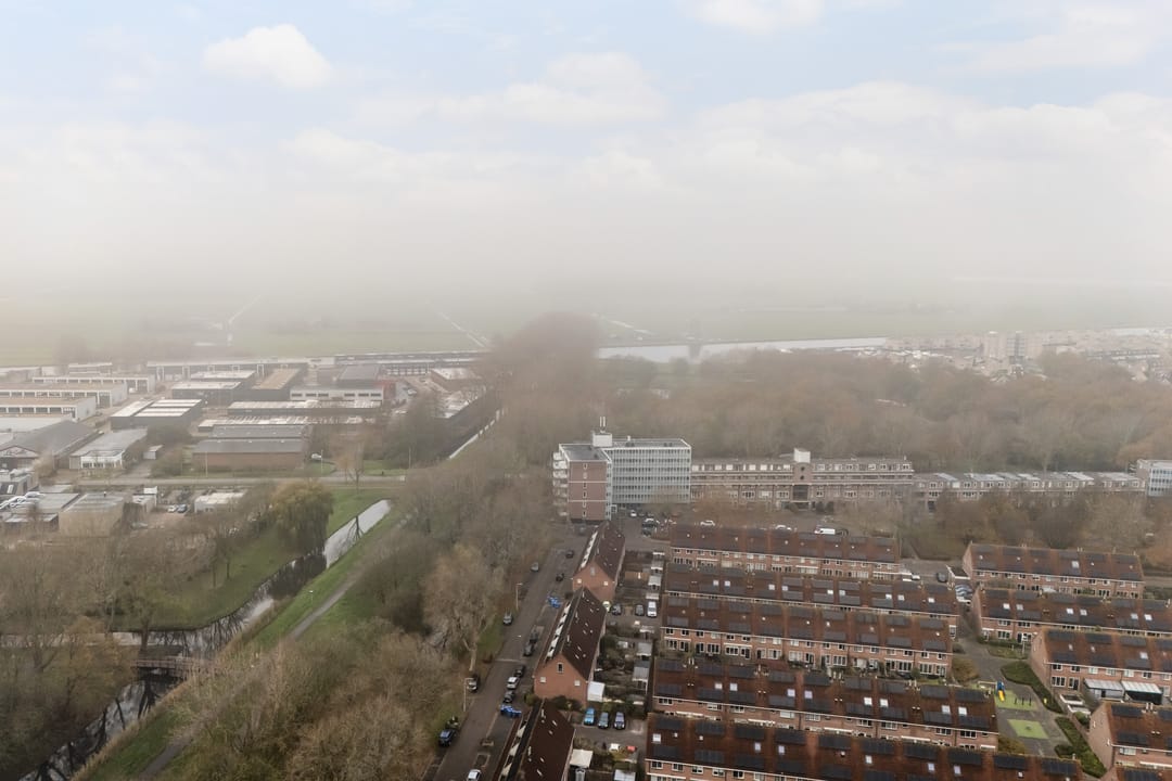 Foto 46 van Mandenvlechter 19