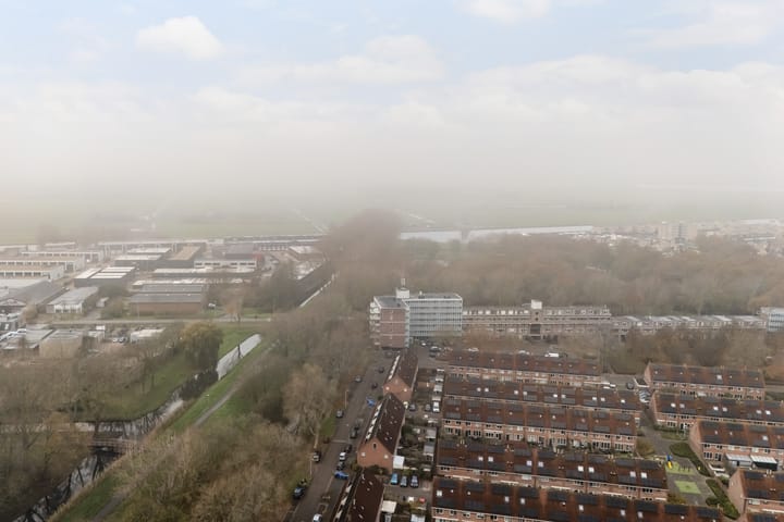 Photo 46 of Mandenvlechter 19