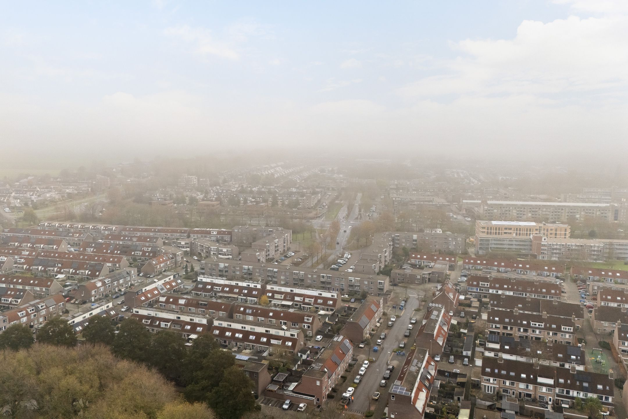 Foto 48 van Mandenvlechter 19