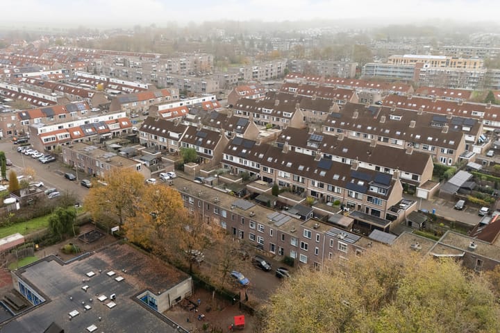 Photo 49 of Mandenvlechter 19