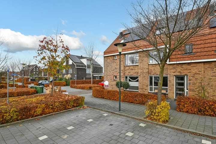Foto 5 van Riet 5