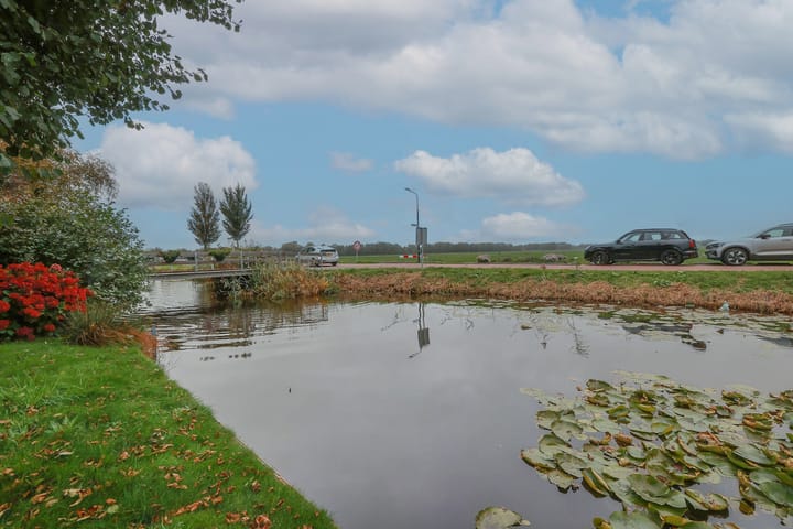 Foto 25 van Dotterbloem 1