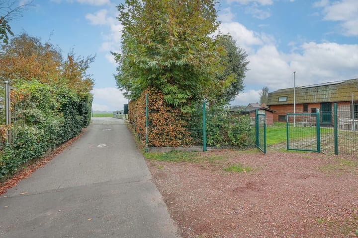 Foto 37 van Dotterbloem 1