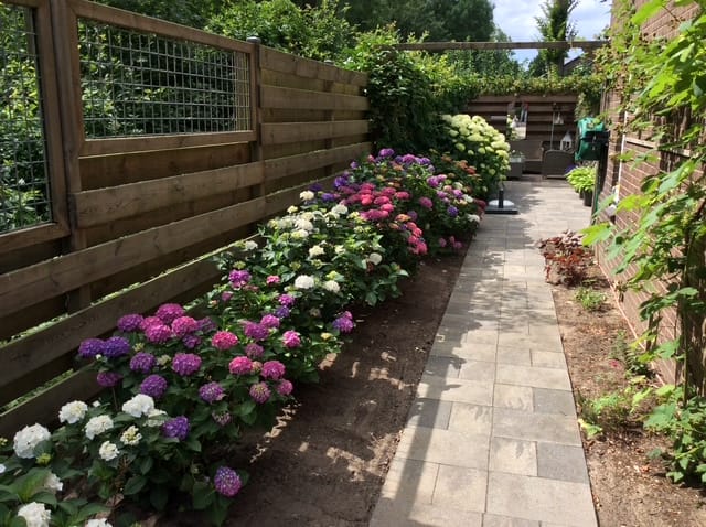 Foto 14 van Deilhorst 10