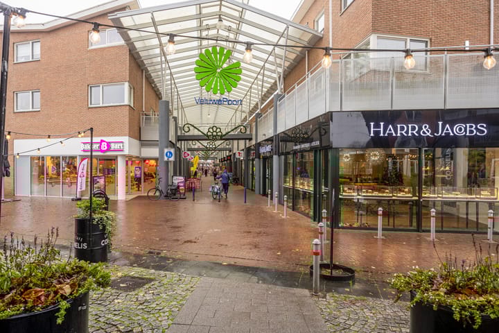 Foto 23 van Brinklaan 3-A