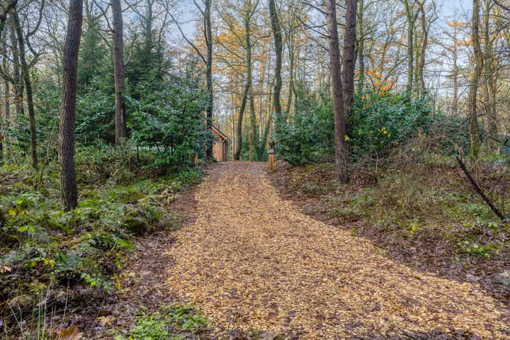 Foto 3 van Zuursche Duinen 5