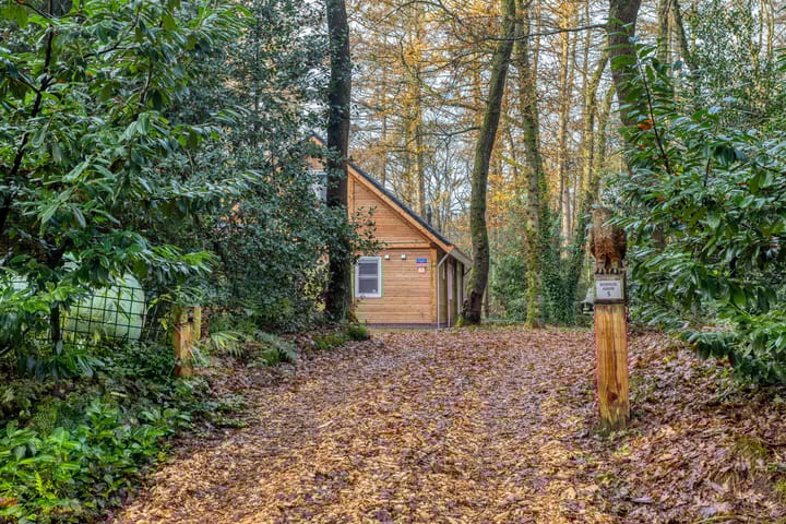 Foto 4 van Zuursche Duinen 5