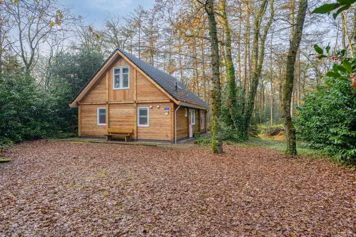 Foto 5 van Zuursche Duinen 5