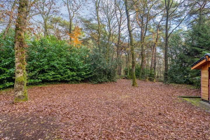 Foto 7 van Zuursche Duinen 5