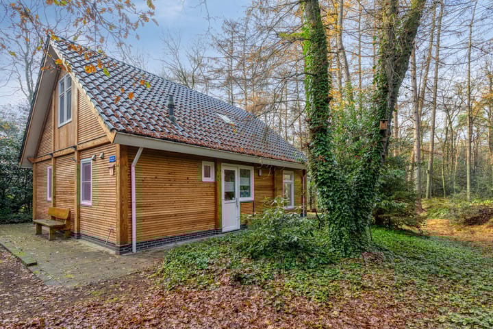 Foto 8 van Zuursche Duinen 5