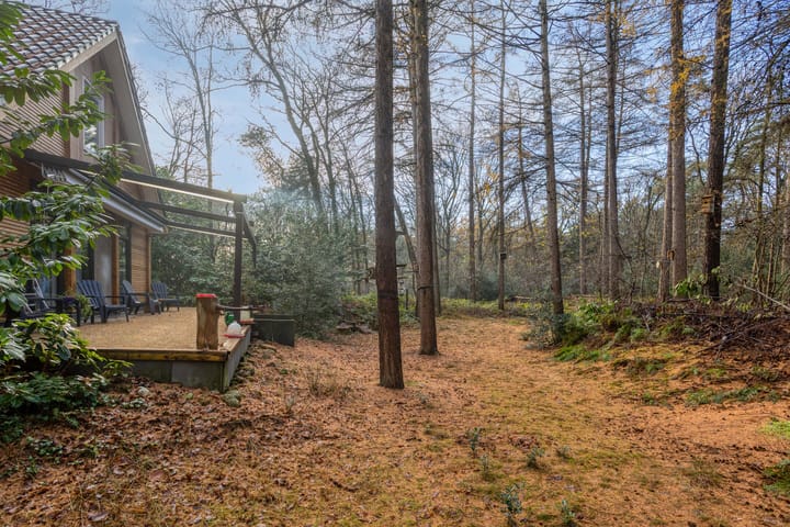 Foto 38 van Zuursche Duinen 5