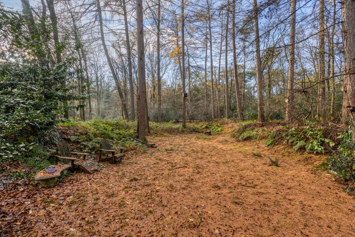 Foto 40 van Zuursche Duinen 5