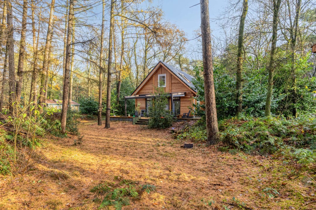 Foto 47 van Zuursche Duinen 5