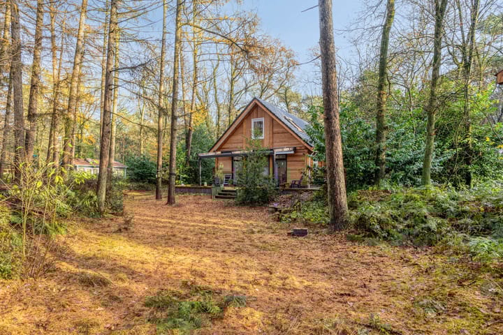 Foto 46 van Zuursche Duinen 5