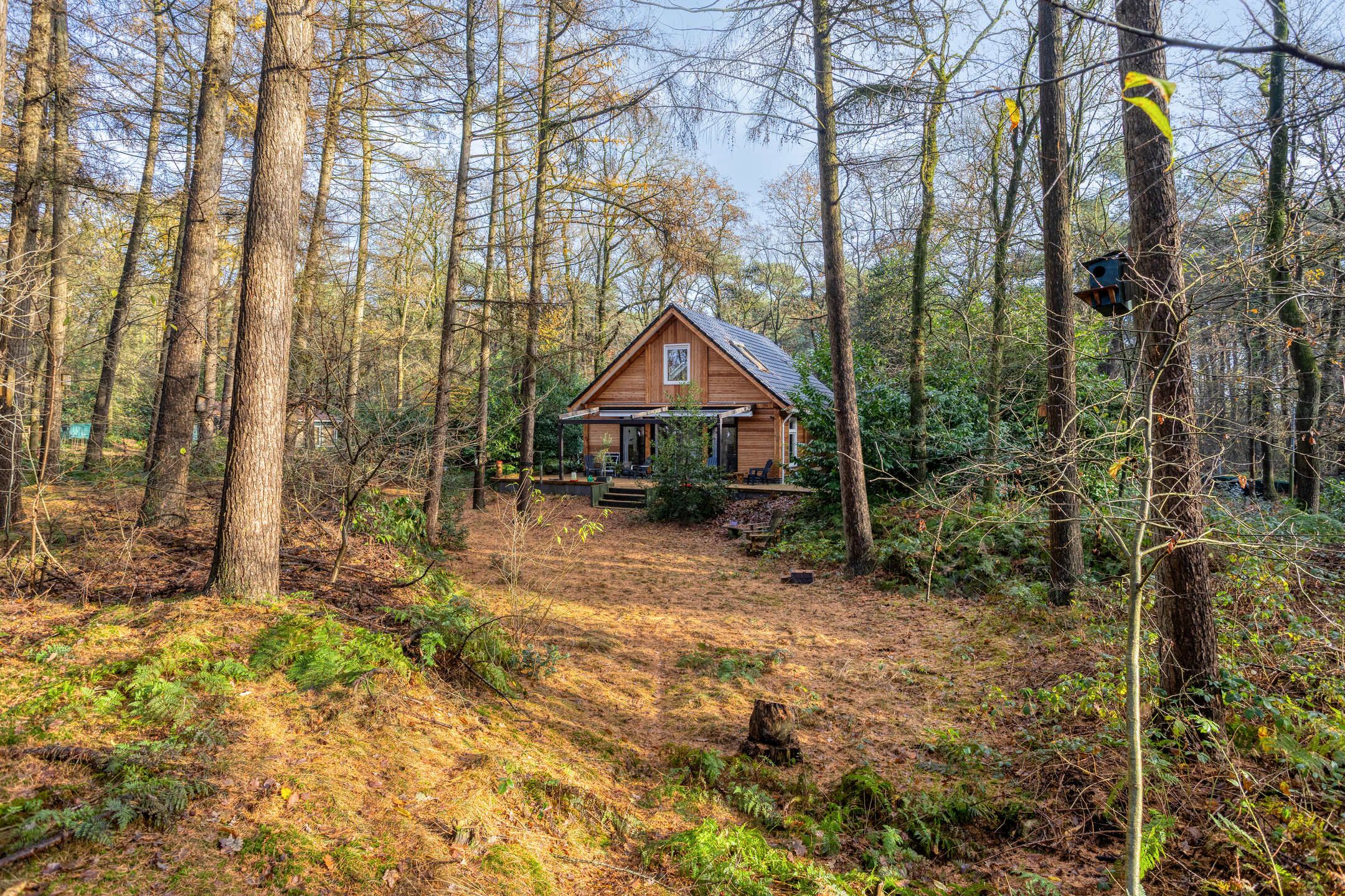 Foto 48 van Zuursche Duinen 5