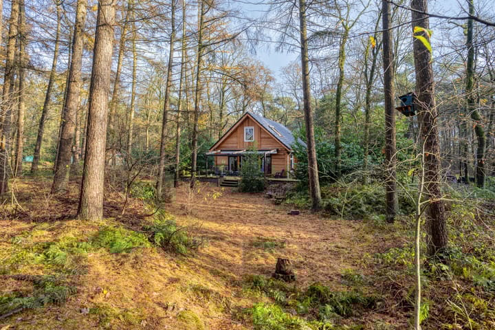 Foto 47 van Zuursche Duinen 5