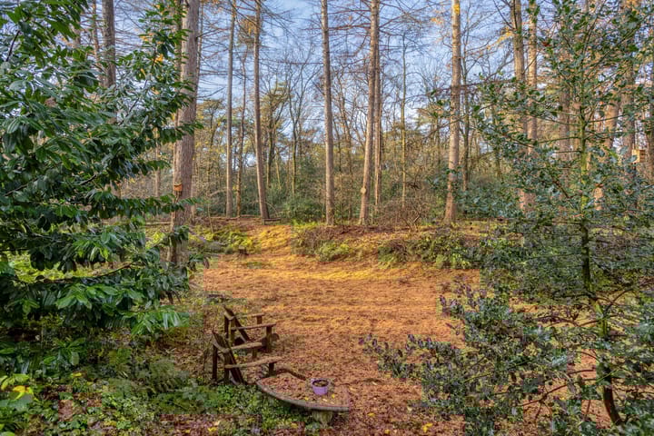 Foto 44 van Zuursche Duinen 5