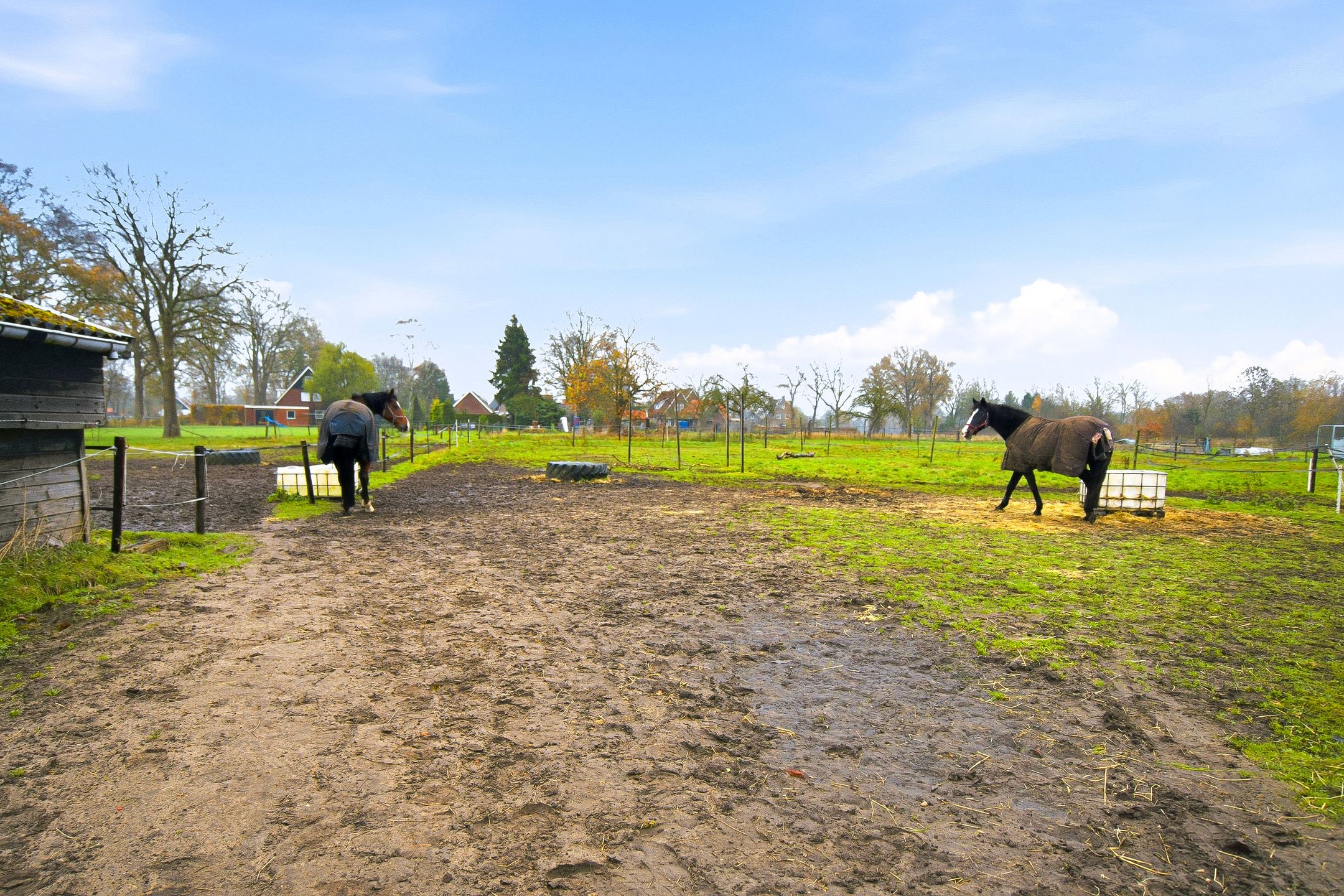 Photo 3 of Wottelweg 9