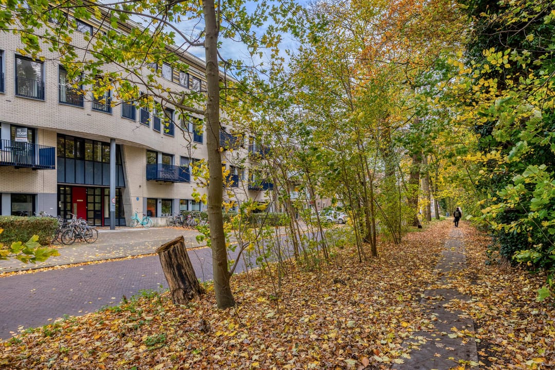 Foto 26 van Waterloolaan 1-47