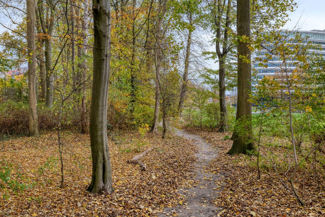 Foto 32 van Waterloolaan 1-47