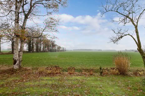 Zandhuizerweg 41 tertiary image