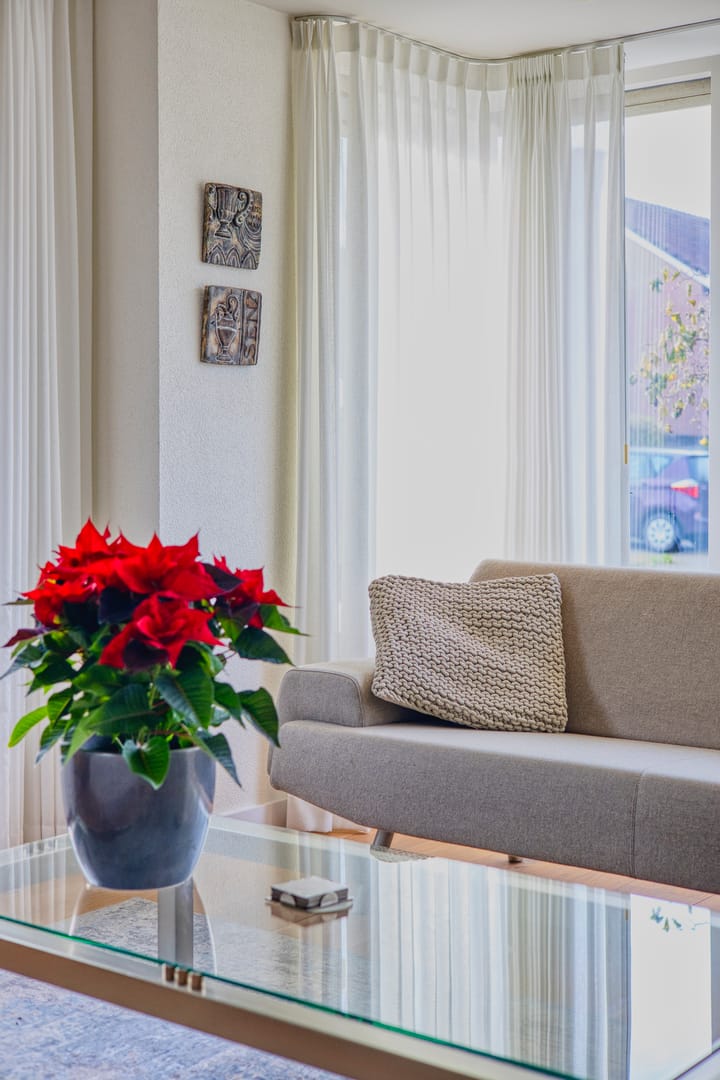 Foto 16 van Putter 22