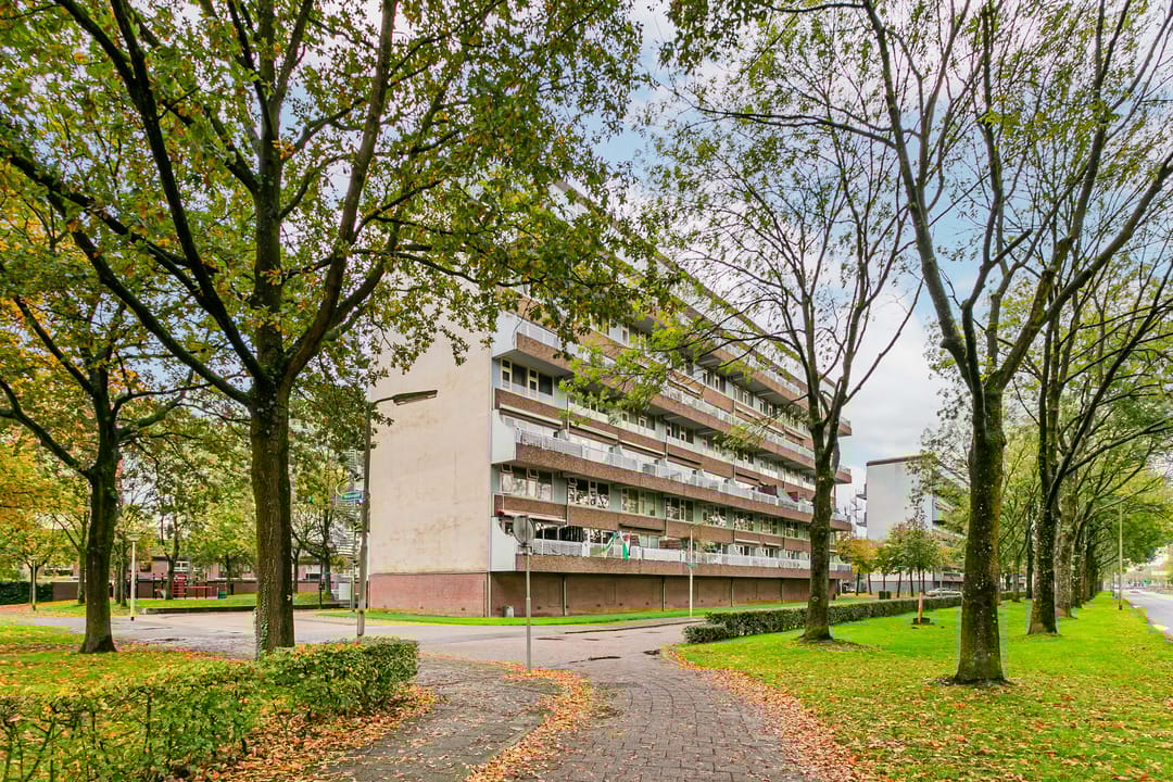 Foto 1 van Bohortplaats 31