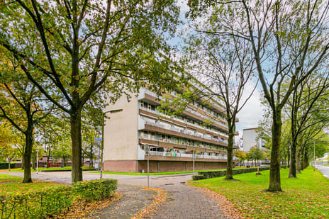 Bohortplaats thumbnail