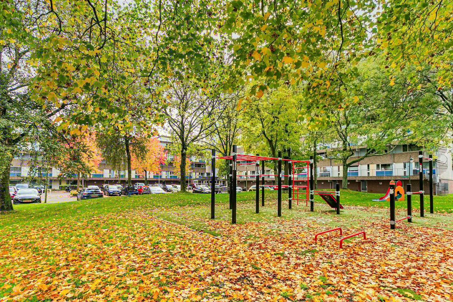 Foto 5 van Bohortplaats 31