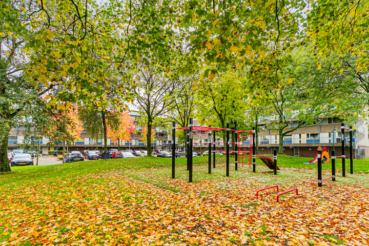 Foto 5 van Bohortplaats 31