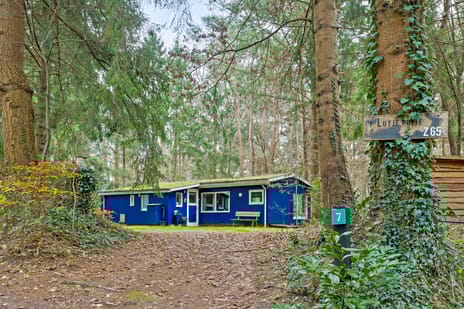 undefined main image