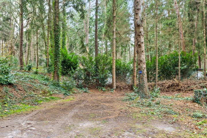 Photo 2 of Mezenlaan 7