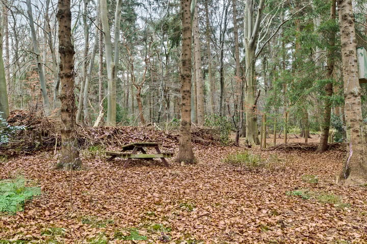 Photo 39 of Mezenlaan 7