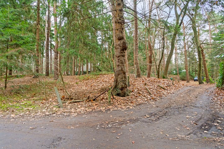 Photo 41 of Mezenlaan 7