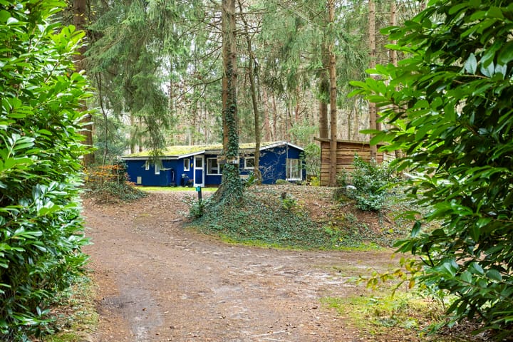 Photo 43 of Mezenlaan 7