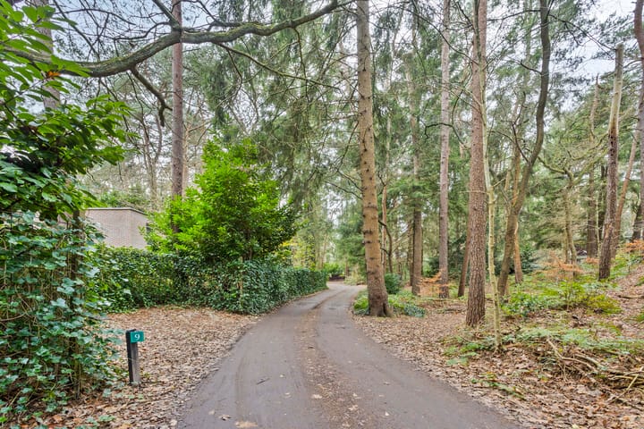 Photo 45 of Mezenlaan 7