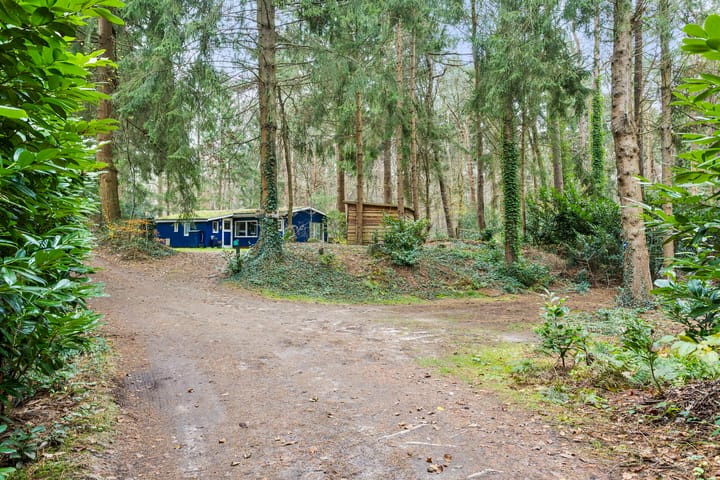 Photo 44 of Mezenlaan 7