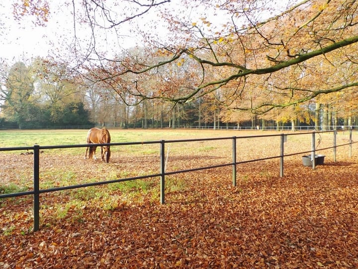 Foto 40 van Van Toulon van der Koogweg 32