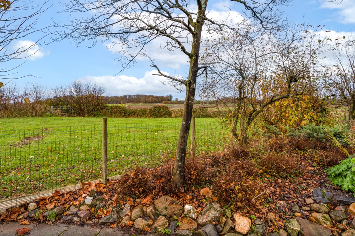 Foto 29 van Kapelaan Wijnensingel 74