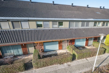 undefined main image